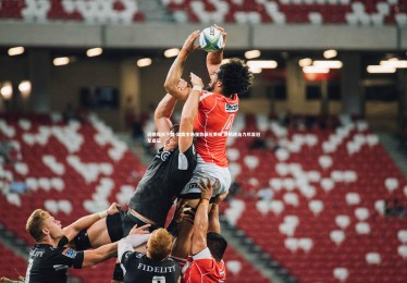 问鼎娱乐下载-雄鹿主场强势碾压黄蜂 攻防统治力尽显冠军底蕴