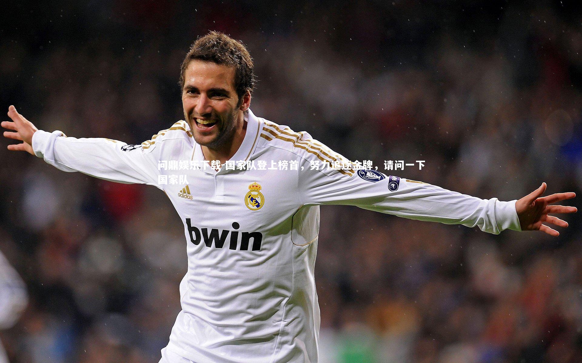 国家队登上榜首，努力追逐金牌，请问一下国家队