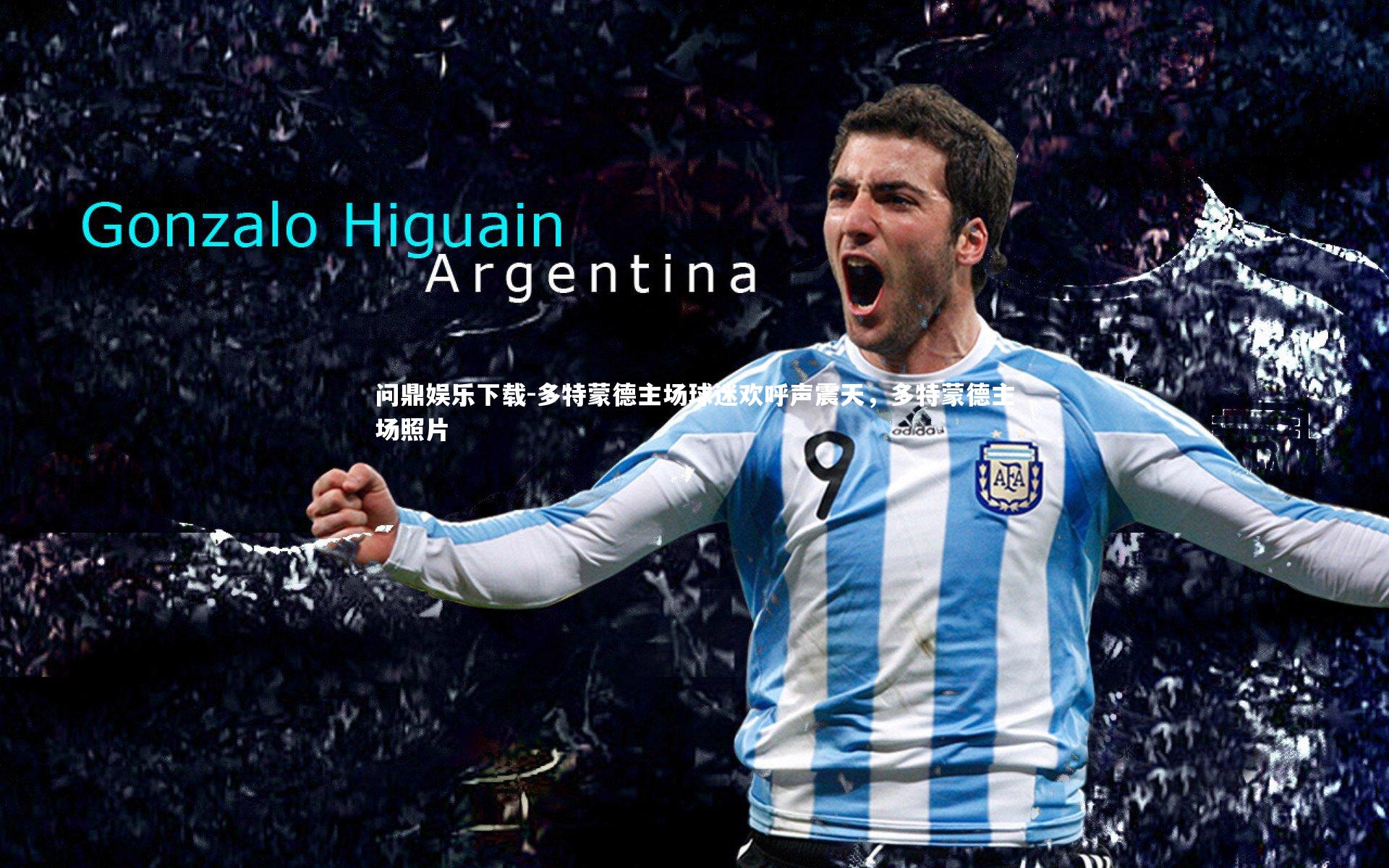 多特蒙德主场球迷欢呼声震天，多特蒙德主场照片