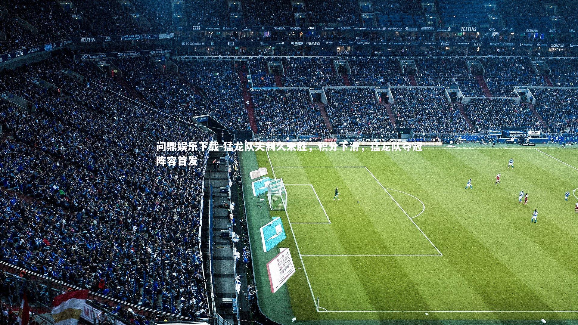 猛龙队失利久未胜，积分下滑，猛龙队夺冠阵容首发